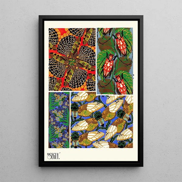 Insects Pl11 - Émile-Allain Séguy — framed artwork on a wall