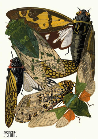 Insects Pl12 - Émile-Allain Séguy — artwork view