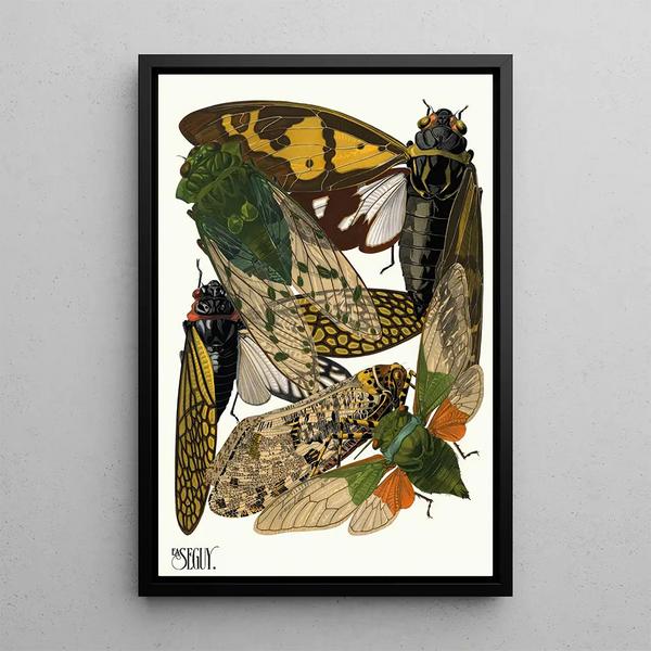 Insects Pl12 - Émile-Allain Séguy — framed artwork on a wall
