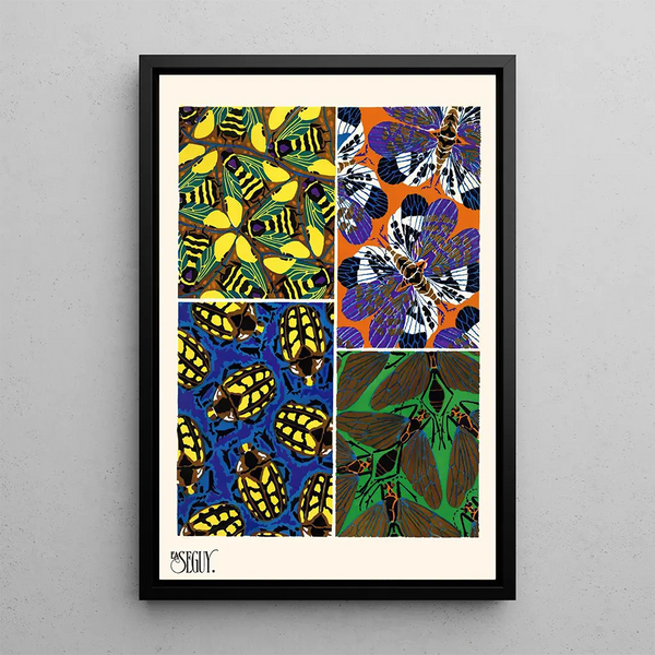 Insectes Pl13 - Émile-Allain Séguy — framed artwork on a wall