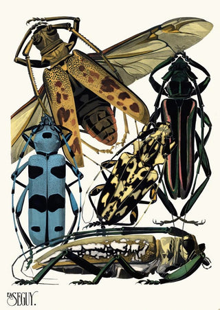 Insects Pl14 - Émile-Allain Séguy — artwork view