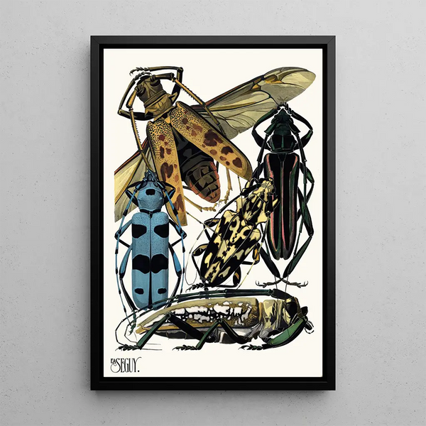 Insects Pl14 - Émile-Allain Séguy — framed artwork on a wall