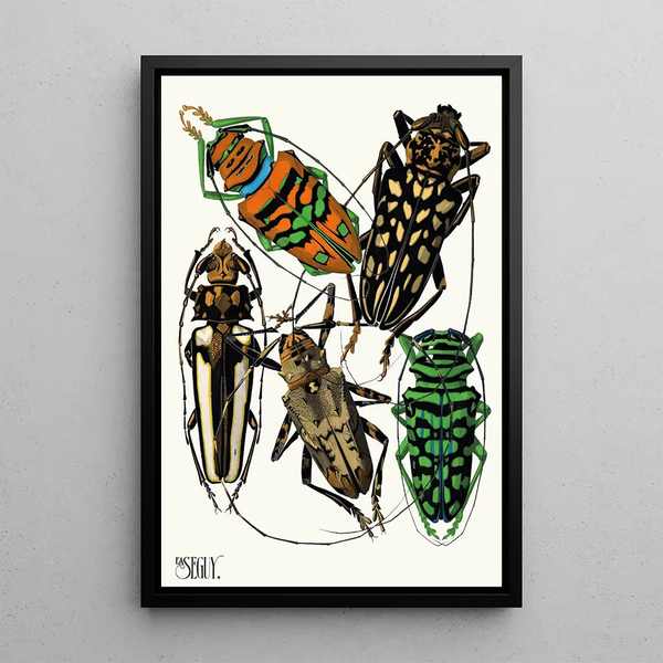 Insects Pl15 - Émile-Allain Séguy — framed artwork on a wall