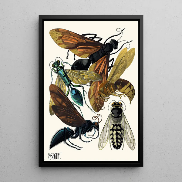 Insectes Pl17 - Émile-Allain Séguy — framed artwork on a wall