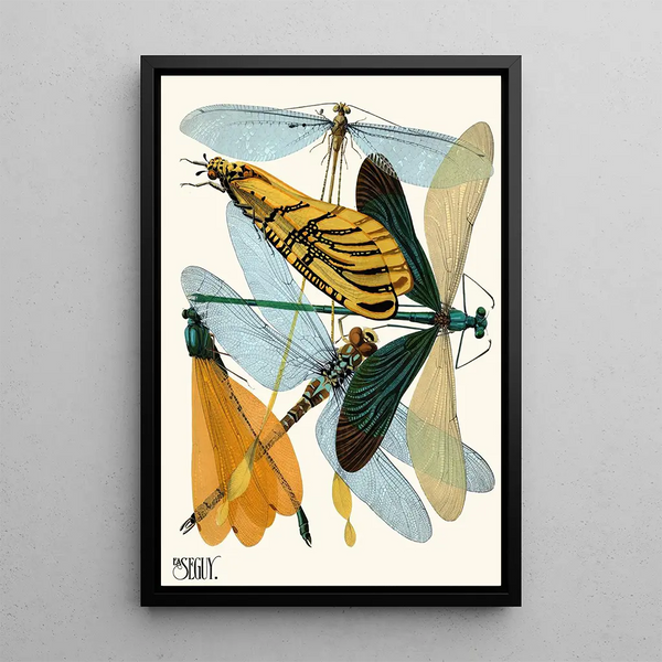 Insectes Pl20 - Émile-Allain Séguy — framed artwork on a wall