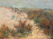 Dune with sea spike at Knokke - Emilie Mediz-Pelikan — artwork view