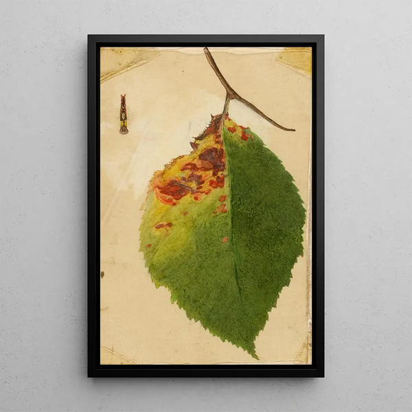 Chenille imitating the edge of a crumpled and wilted leaf - Emma Beach Thayer — framed artwork on a wall
