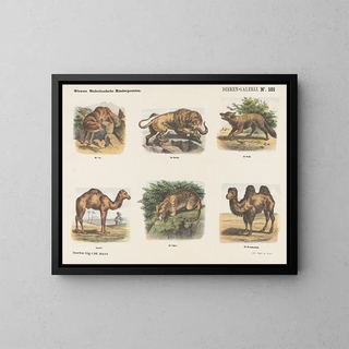 Gallery of Animals - Emrik Binger — framed artwork on a wall
