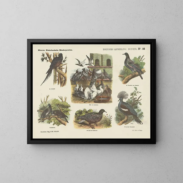 Section of Pigeons - Emrik Binger — framed artwork on a wall