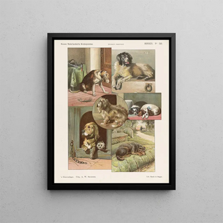 Emrik Binger - Honden.webp