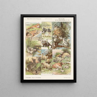 Old and young of the animal world - Emrik Binger — framed artwork on a wall