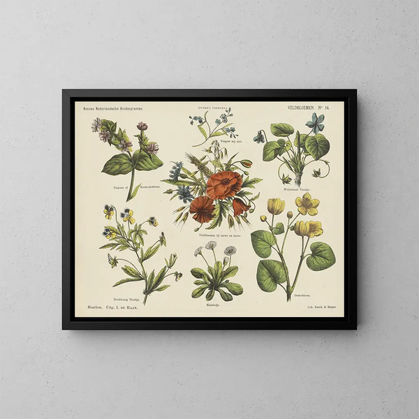 Wildflowers - Emrik Binger — framed artwork on a wall