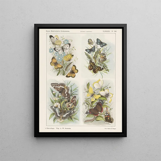 Butterfly Painting - Emrik Binger — framed artwork on a wall
