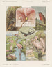 Birds - Emrik Binger — artwork view