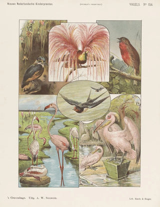 Birds - Emrik Binger — artwork view