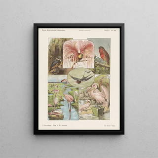 Birds - Emrik Binger — framed artwork on a wall