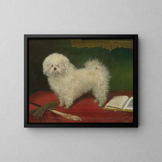 A Maltese on a red tablecloth - English School — framed artwork on a wall