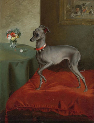 An Italian Greyhound on a Red Cushion - English School — artwork view
