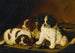 Three English Springer Spaniel Puppies - English School — artwork view