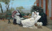 Repos sur la terrasse à Villerville - Ernest-Ange Duez | Painting — artwork view