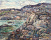 Rocky Coast of Nova Scotia - Ernest Lawson — artwork view