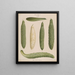 Framed Cucumber Painting - Ernst Benary — framed artwork on a wall