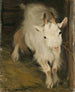 Goat - Ernst Klee — artwork view