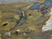 Flock of sheep on a mountain pasture - Ernst Schiess — artwork view