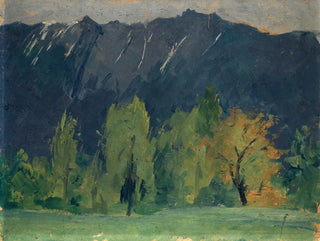 Mountain Landscape Painting - Ernst Schiess — artwork view
