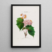 Flore d'Amérique drawn from nature on site Pl030 - Étienne Denisse — framed artwork on a wall