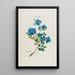Flore d'Amérique drawn from nature on site Pl033 - Étienne Denisse — framed artwork on a wall
