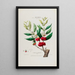 Flore d'Amérique drawn from nature on site Pl036 - Étienne Denisse — framed artwork on a wall