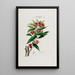 Flore d'Amérique drawn from nature on site Pl039 - Étienne Denisse — framed artwork on a wall