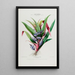 Flore d'Amérique drawn from nature on site Pl044 - Étienne Denisse — framed artwork on a wall