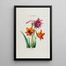 Flore d'Amérique drawn from nature on site Pl049 - Étienne Denisse — framed artwork on a wall