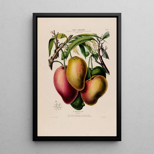 Flore d'Amérique drawn from nature on site Pl061 - Étienne Denisse — framed artwork on a wall