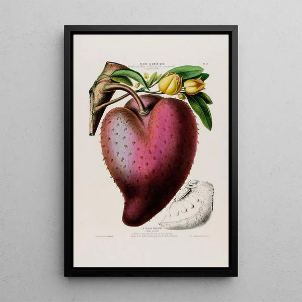 Flore d'Amérique drawn from nature on site Pl071 - Étienne Denisse — framed artwork on a wall