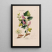 Flore d'Amérique drawn from nature on site Pl119 - Étienne Denisse — framed artwork on a wall
