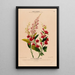 Flore d'Amérique drawn from nature on site Pl121 - Étienne Denisse — framed artwork on a wall