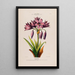 Flore d'Amérique drawn from nature on site Pl126 - Étienne Denisse — framed artwork on a wall