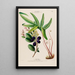 Flore d'Amérique drawn from nature on site Pl128 - Étienne Denisse — framed artwork on a wall