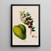 Flore d'Amérique drawn from nature on site Pl131 - Étienne Denisse — framed artwork on a wall