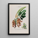 Flore d'Amérique drawn from nature on site Pl138 - Étienne Denisse — framed artwork on a wall