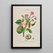 Flore d'Amérique drawn from nature on site Pl143 - Étienne Denisse — framed artwork on a wall