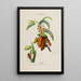 Flore d'Amérique drawn from nature on site Pl145 - Étienne Denisse — framed artwork on a wall