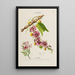 Flore d'Amérique drawn from nature on site Pl146 - Étienne Denisse — framed artwork on a wall