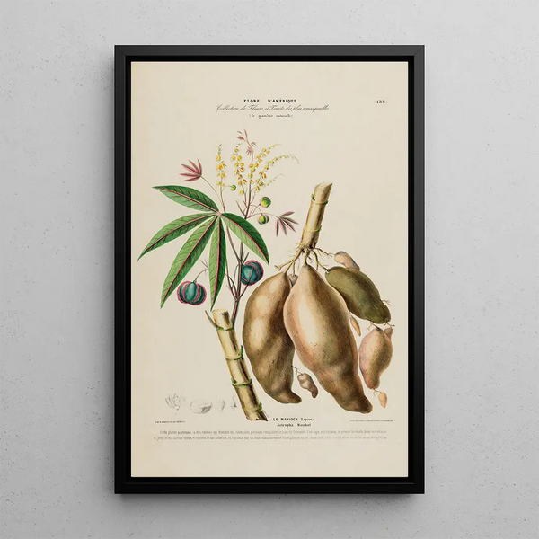 Flore d'Amérique drawn from nature on site Pl189 - Étienne Denisse — framed artwork on a wall