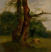 Study of a leafy tree - Jozef Boetech Klemens — artwork view