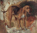Study of a Bloodhound - William Holman Hunt — artwork view