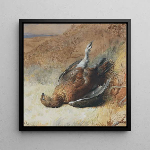 Study of a Grouse - Archibald Thorburn — framed artwork on a wall